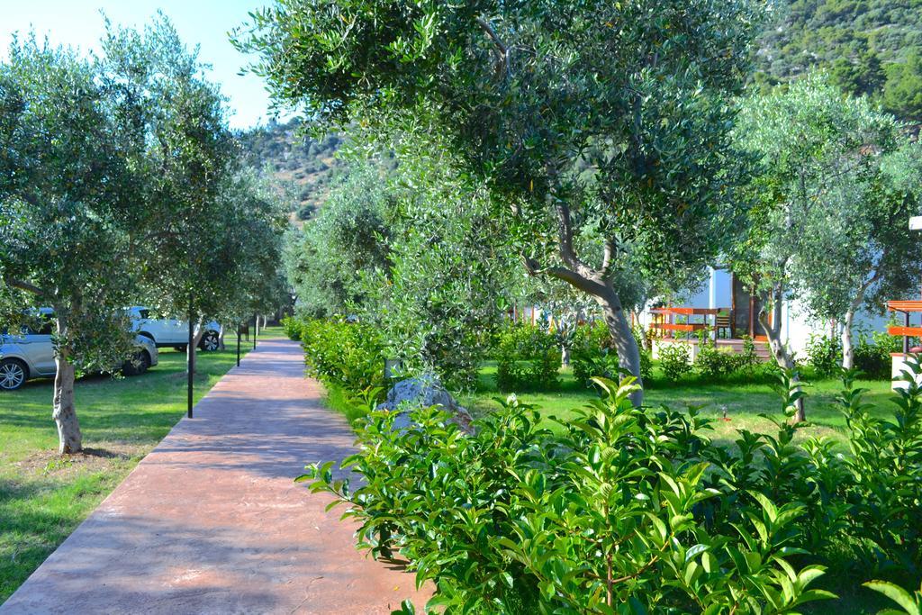 Agriturismo Antichi Ulivi Mattinata Exteriör bild