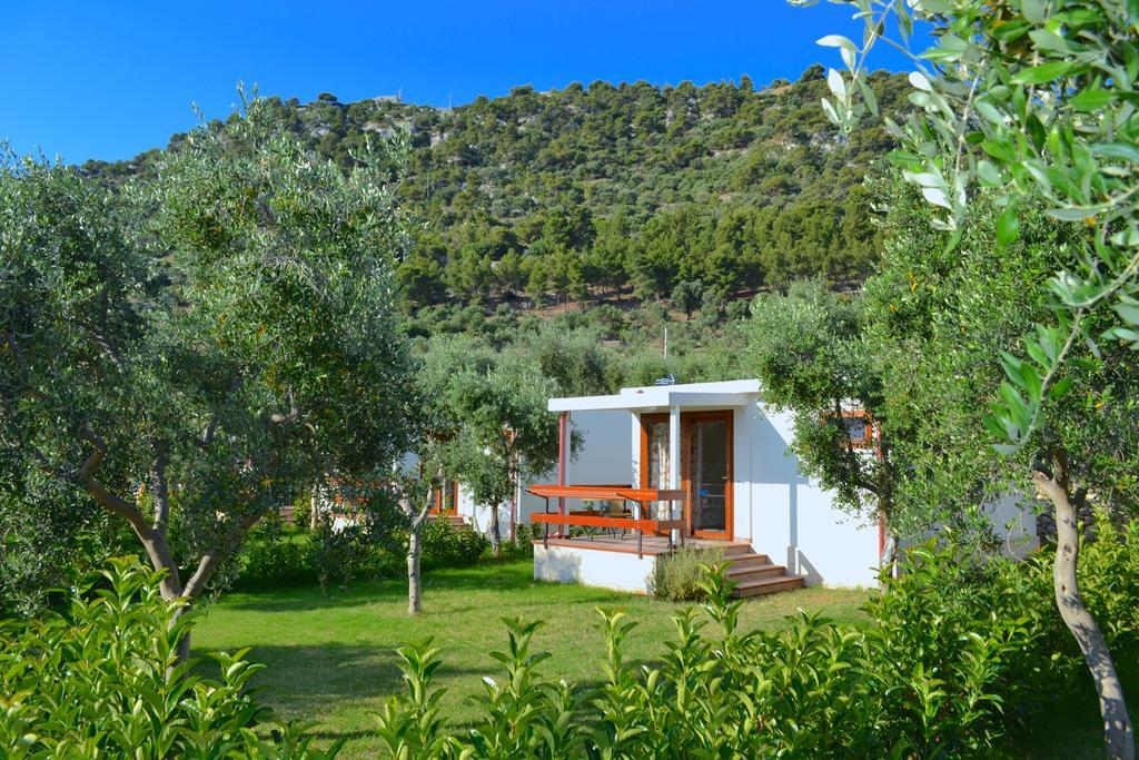 Agriturismo Antichi Ulivi Mattinata Exteriör bild
