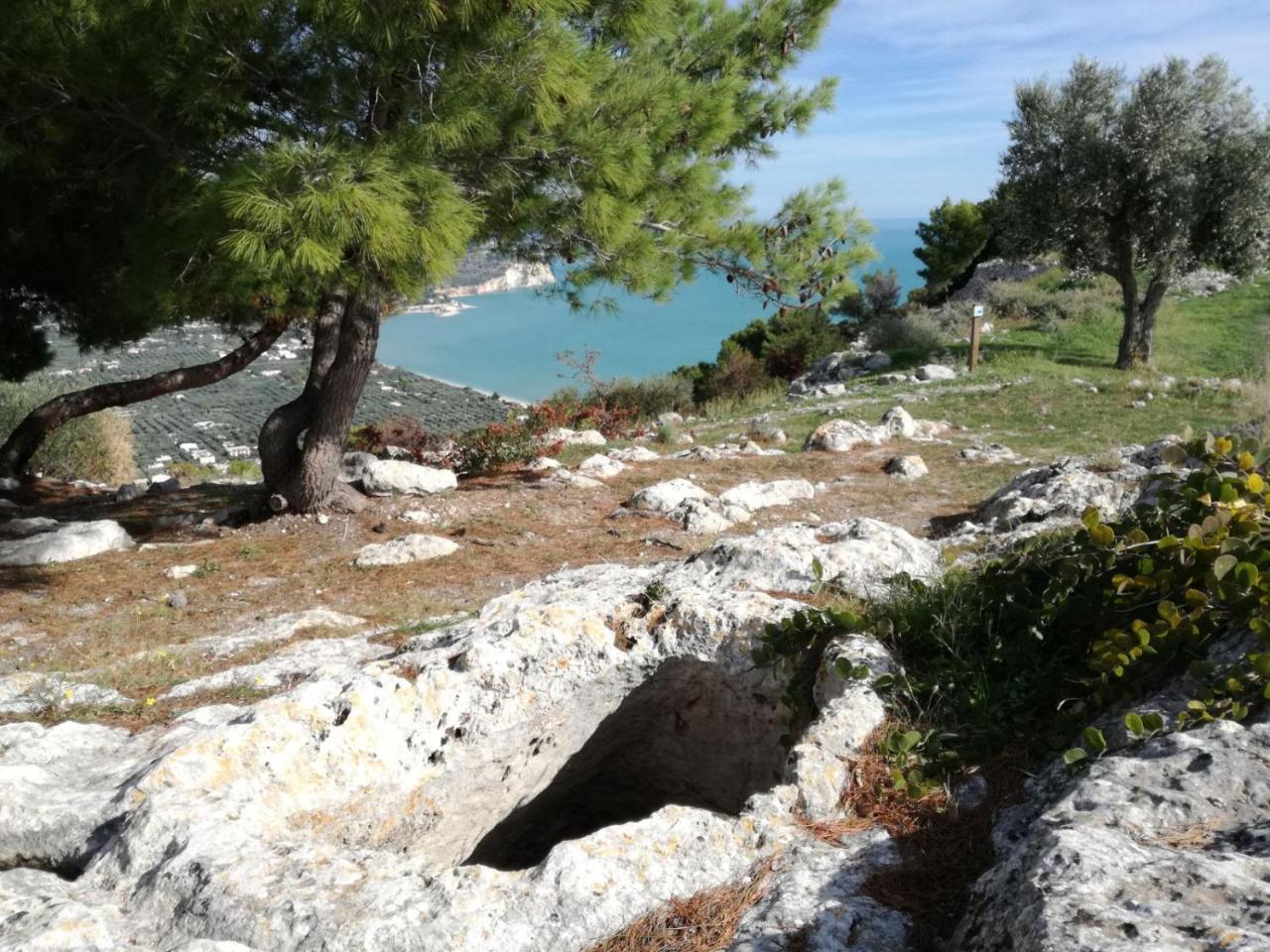 Agriturismo Antichi Ulivi Mattinata Exteriör bild