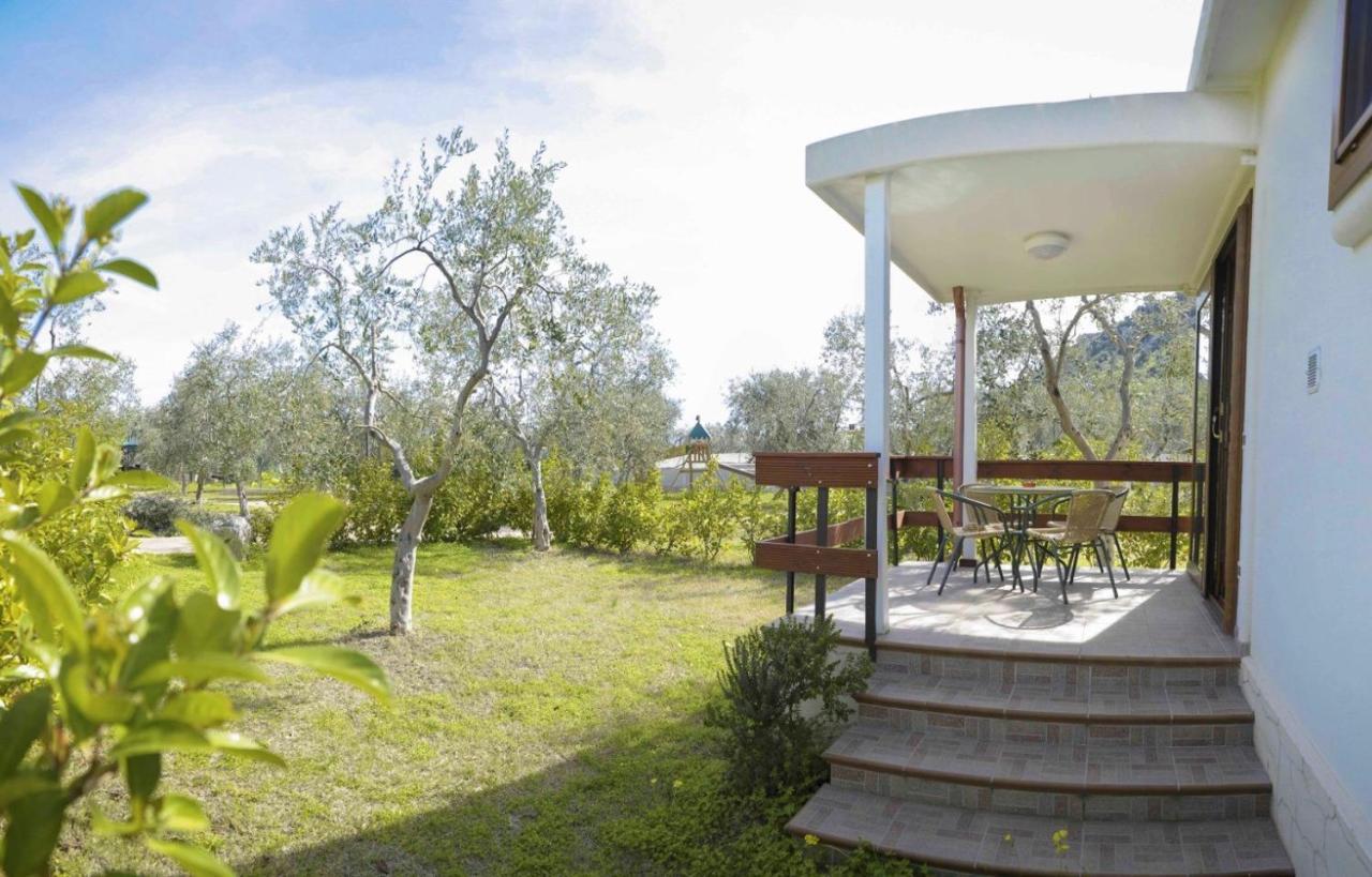Agriturismo Antichi Ulivi Mattinata Exteriör bild
